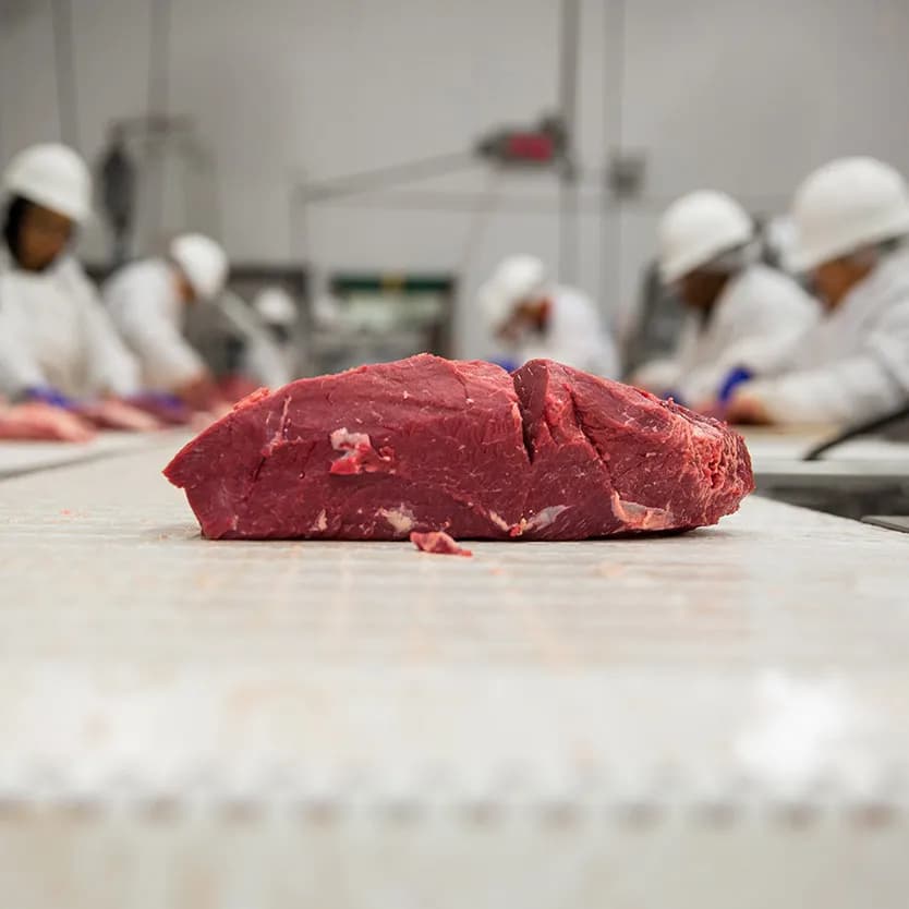 MES integration retrofit for deli meat facility